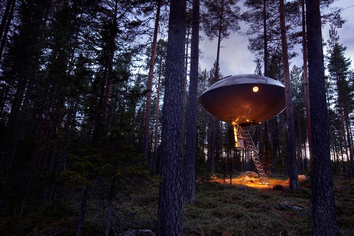 ¿Want to relax in a wild forest?